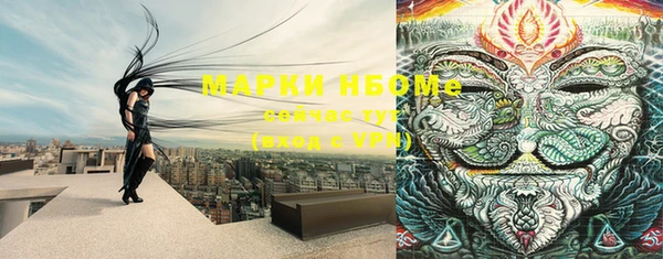 винт Пестово