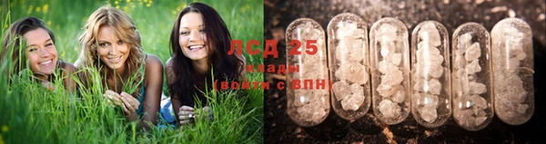 винт Пестово